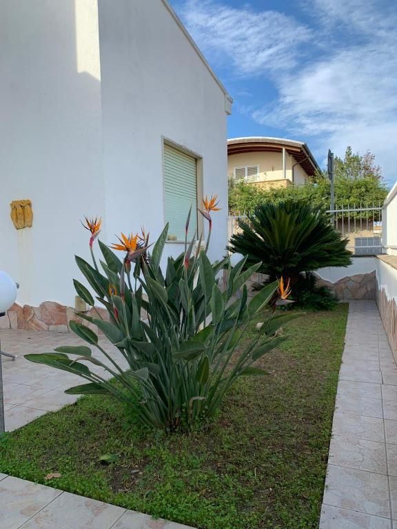 Casa Ohana – Casa Ohana