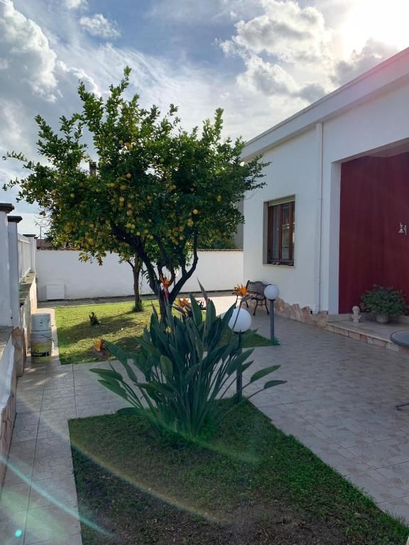Casa Ohana – Casa Ohana