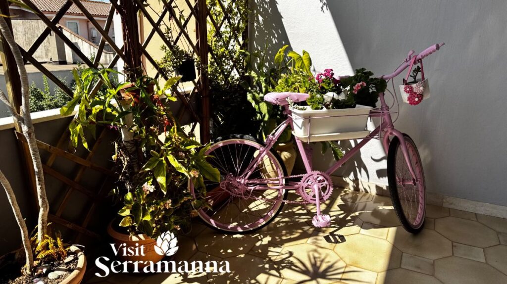 Domu Noa B&B – Domu Noa B&B